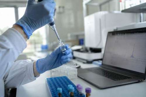 Third-Party Tested for Purity
